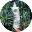 Produit d'accueil The Rerum Natura
